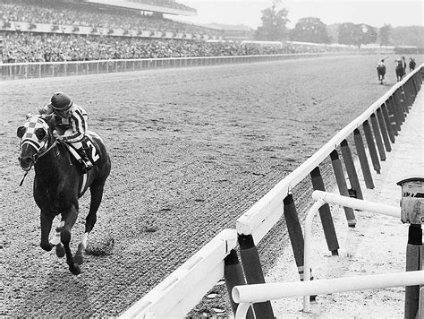 [100+] Secretariat Pictures | Wallpapers.com