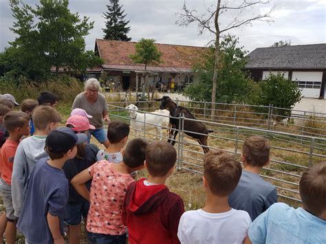 Erlebnis Bauernhof Grund Mittelschule St Josef