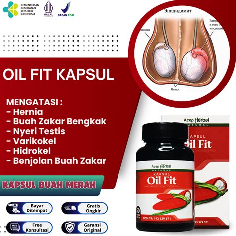 Jual Obat Buah Zakar Bengkak Sebelah Obat Testis Bengkak Varikokel