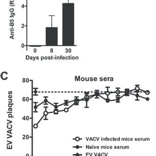 Complement Kinetics And Components A And B Kinetics Of VACV EV