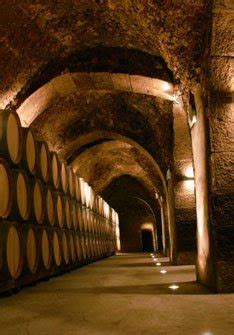 Bodega Bodegas Casa Primicia Enterwine