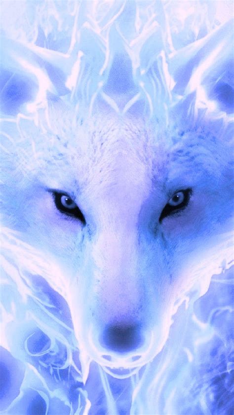 Halloween Wolf Wallpapers Top Free Halloween Wolf Backgrounds