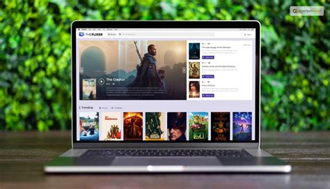 Its All About Ttheflixer Top 10 Alternatives That You Need To Know