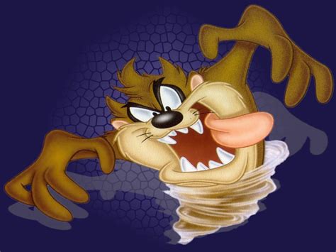 wallpaper id  p looney tunes tasmanian devil looney