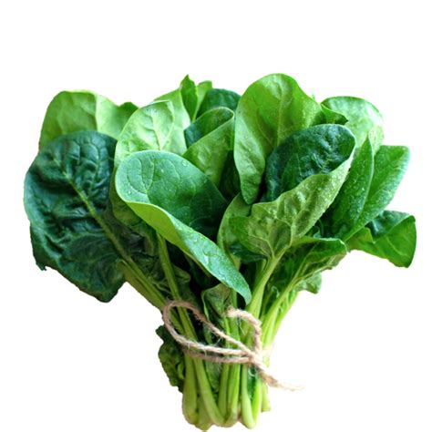 Organic Spinach Bunch 200g Online Grocery Store