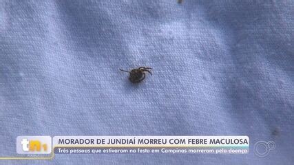 Febre Maculosa veja quem são as pessoas que morreram pela doença após