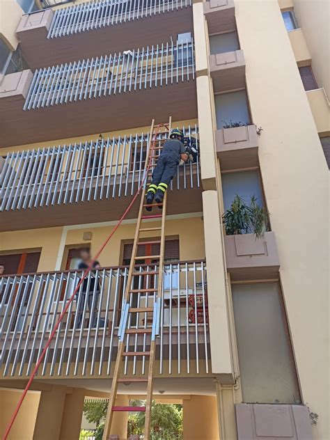 Cane Incastrato Tra Le Sbarre Del Balcone Salvato Dai Vigili Del Fuoco