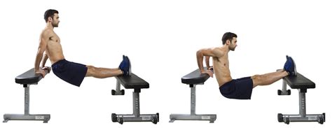 Top 10 Dips Exercises For Beginners Mastering The Basics