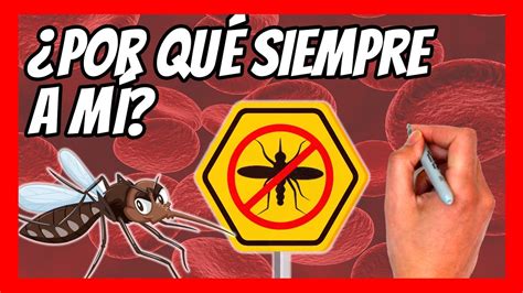 Por Qu Pican Los Mosquitos Resumen F Cil Y Divertido Youtube