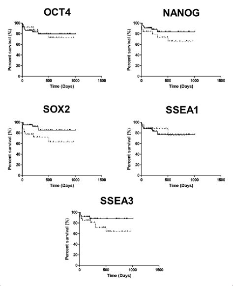 Kaplan Meier Survival Analysis Kaplan Meier Plot Representing The