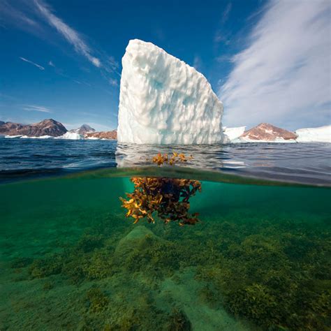 Дмитрий Архипов (Dmitry Arkhipov) — фотограф — JuicyWorld