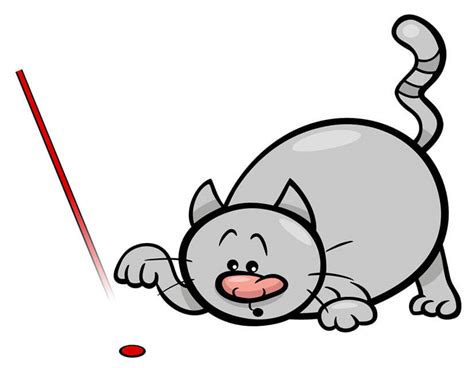 Laserpointer Katze
