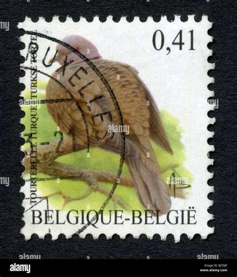 Postage Stamp Belgium Belgian Stamps Philately Collecting Collection