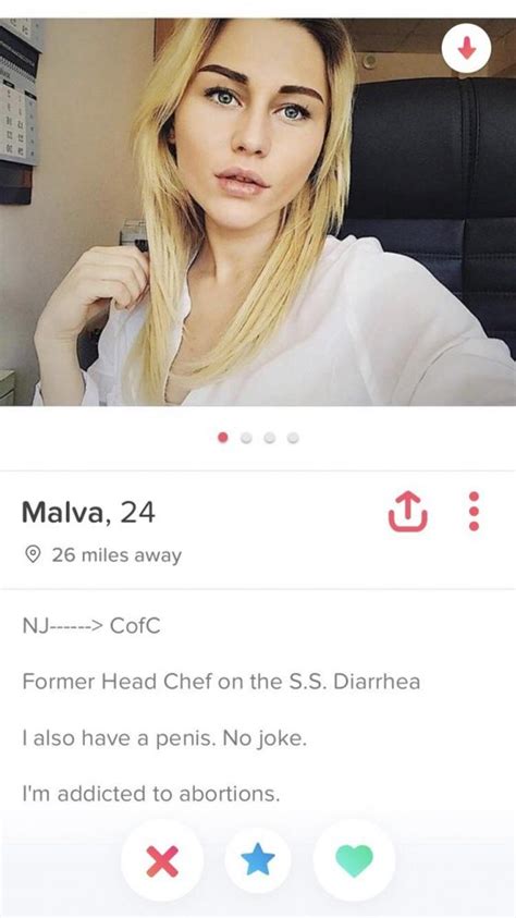 The Best And Worst Tinder Profiles In The World 108