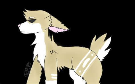 Tom Cat Or My Oc By Animebros555 On Deviantart