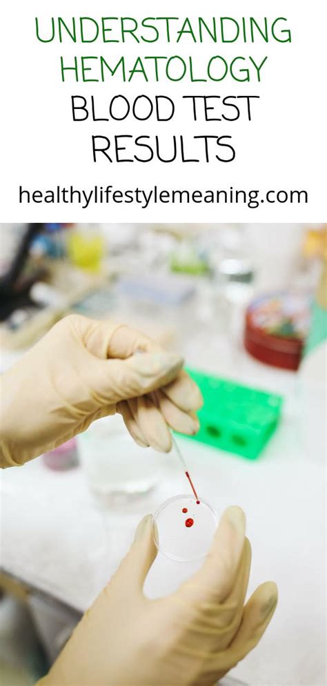 Understanding Hematology Blood Test Results Healthy Lifestyle Meaning