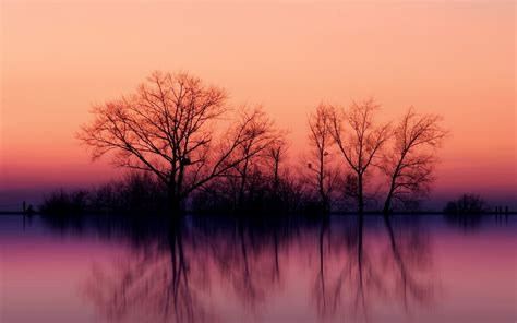 Wallpaper Trees Landscape Sunset Lake Nature Reflection Branch