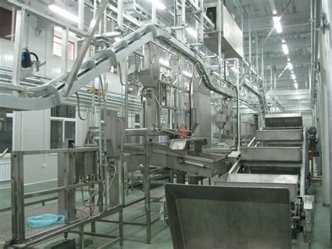 Cattle Slaughter House Equipment For Cow Abattoir Halal