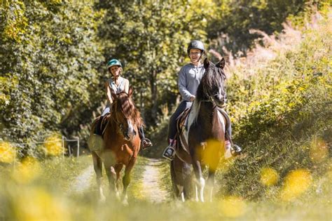 Top 3 des randonnées à cheval en Haute Savoie Horse Republic