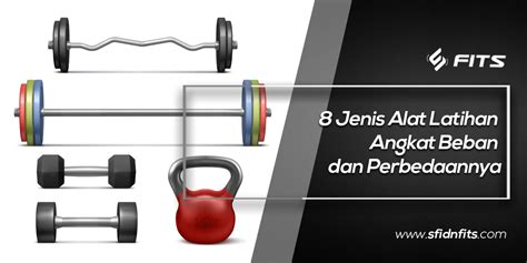 SFIDN FITS Blog 8 Jenis Alat Latihan Angkat Beban Dan Perbedaannya