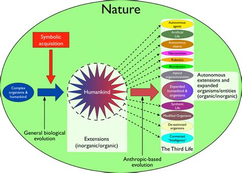 Evolutionary Creativity The Inner Life And Meaning Of Art Noema