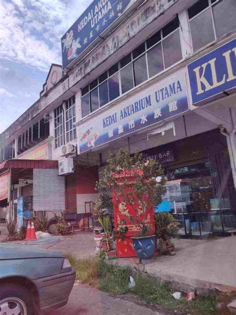 TOP 7 Kedai Aquarium Klang Terbaik