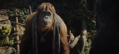 Revelan tráiler de Kingdom of the Planet of the Apes así luce