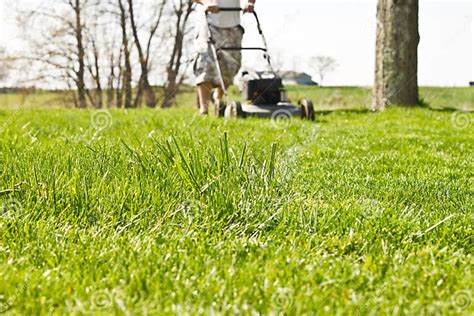 Mower Tall Grass Stock Image Image Of Running Tall 19642143