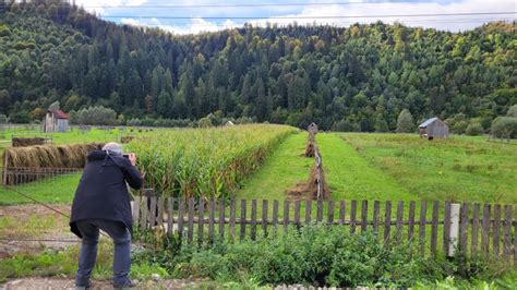 Desde Suceava Excursi N De Un D A A Los Monasterios Pintados De