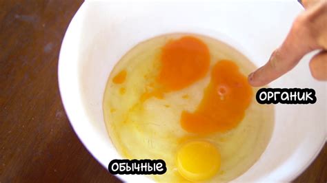 ПОЛЬЗА ЯИЦ | ЖЕЛТКИ ИЛИ БЕЛКИ? ЧТО ПОЛЕЗНЕЕ? - YouTube