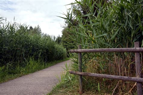 Photos Slow Tourisme Au Parc De La Canner Buding