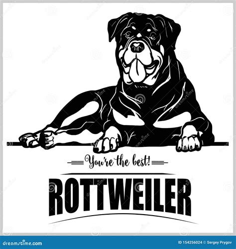 Rottweiler Vector Illustration For T Shirt Logo And Template Badges