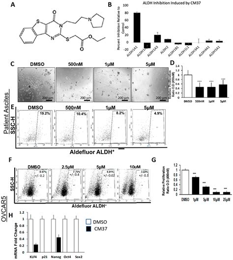 Cancers Free Full Text A Novel Aldh1a1 Inhibitor Targets Cells With Stem Cell