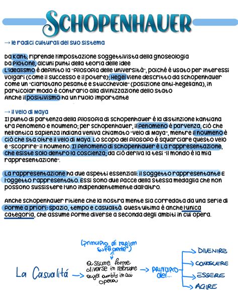 Schopenhauer Riassunto Abbagnano Fornero Appunti Di Storia Della Filosofia Docsity