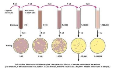 LECTURE 4 PRINCIPLES OF MICROBIAL CULTIVATION Flashcards Quizlet