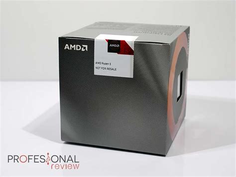 AMD Ryzen 5 3600XT Review en Español (Análisis completo)