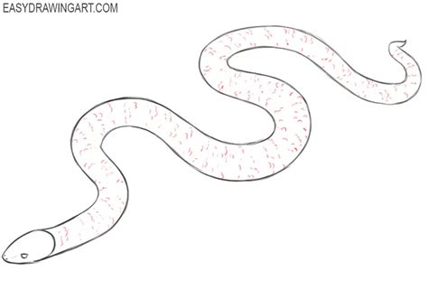 How to Draw a Snake - Easy Drawing Art