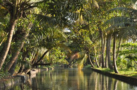 Kerala Backwaters Houseboat Tours : Experience the Magnetizing Charm ...