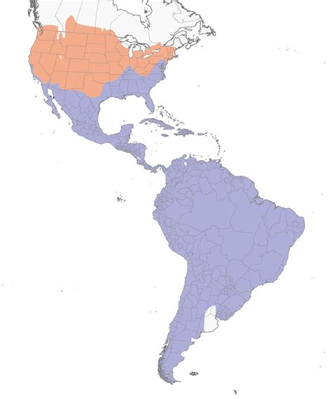Nests & Eggs: Turkey Vulture | DIY Homeschooler