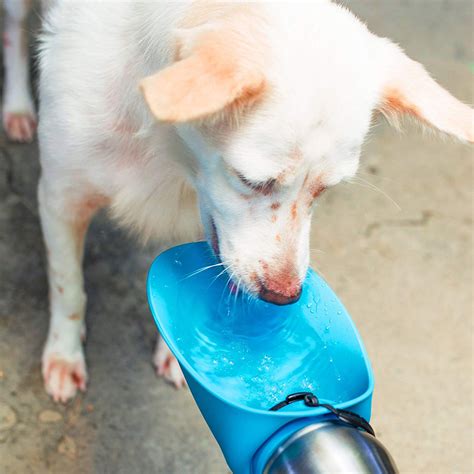 Tuff Pupper Big Dog - Portable Dog Water Bottle / Water Bowl | The ...