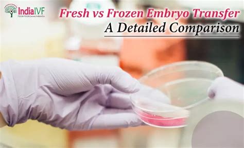 Fresh Vs Frozen Embryo Transfer A Comparative Analysis India IVF