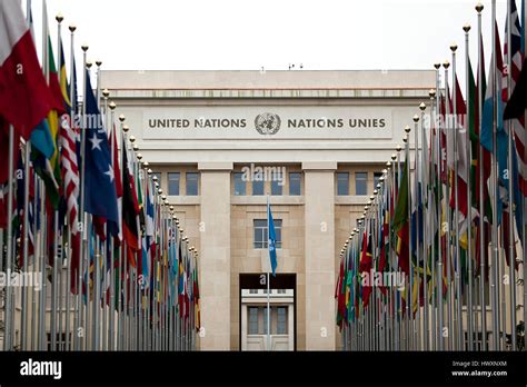 United Nations Office At Geneva Unietd Nations Emblem Highres Vector