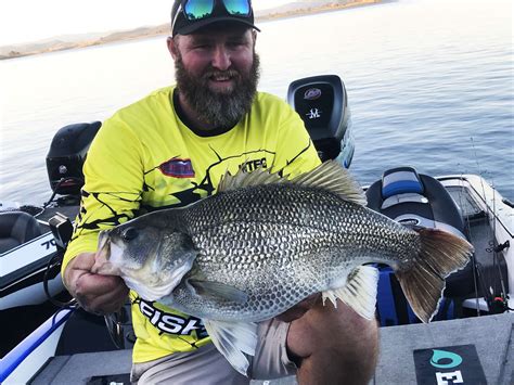 Australian Nation Angler Catches World Record Bass Bassmaster