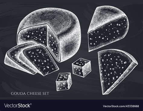 Cheese Hand Drawn Collection Royalty Free Vector Image