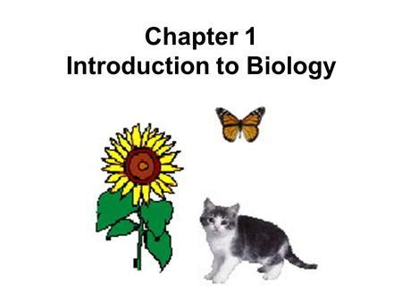 Section 1 What Is Biology Biology The Study Of Life The Key To The