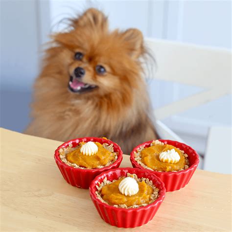 Pumpkin Pie for DOGS - Fluffy Delicious