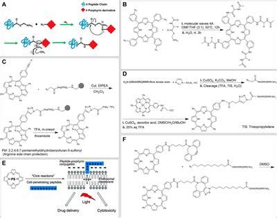 Frontiers Synthesis And Applications Of Porphyrin Biomacromolecule