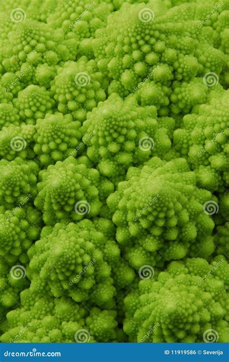 Romanesco Broccoli Close Up The Fractal Vegetable Is Known For It`s