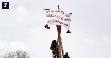 Protest Gegen Gentechnik Maisfeld In Gro Gerau Besetzt