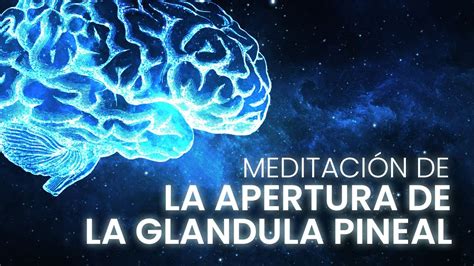 Meditaci N De La Apertura De La Gl Ndula Pineal Tere Renter A